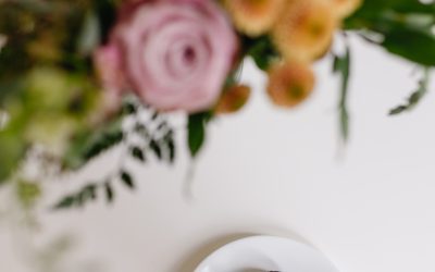 Raspberry Truffle Collagen Bliss Balls